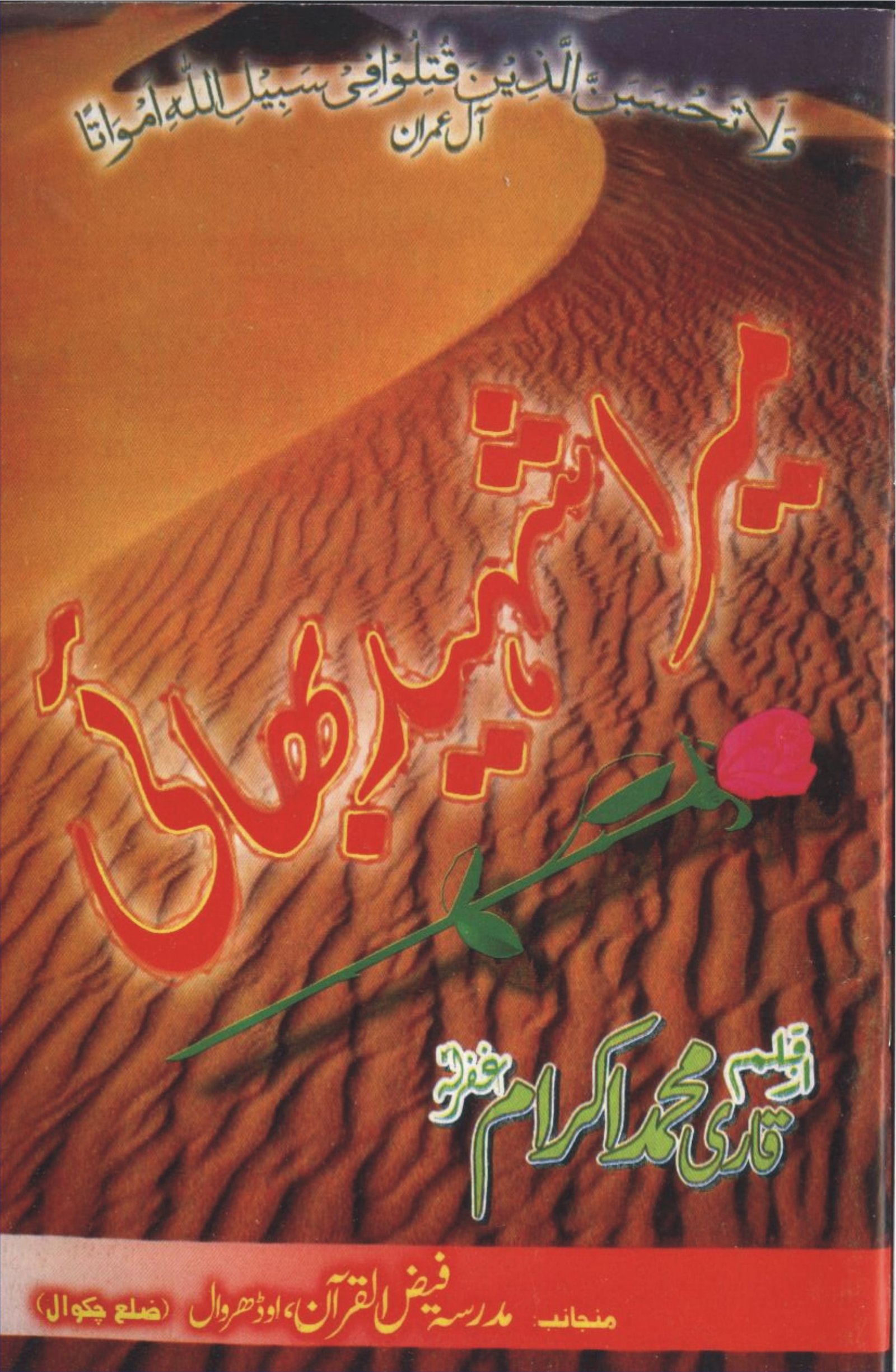 میرا شہید بھائی